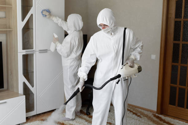 Best Commercial Mold Remediation in Catlin, IL