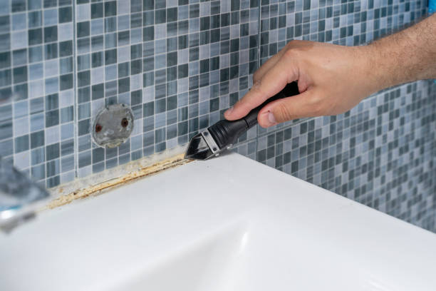 Best Emergency Mold Remediation in Catlin, IL